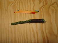 Shorttail in green and brown Shorttail in green and brown