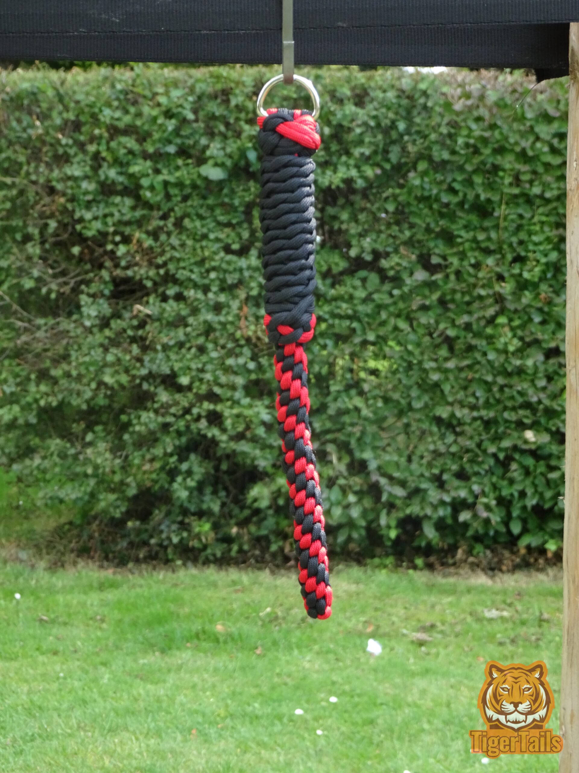 Shorttail black & red spiral - Image 2