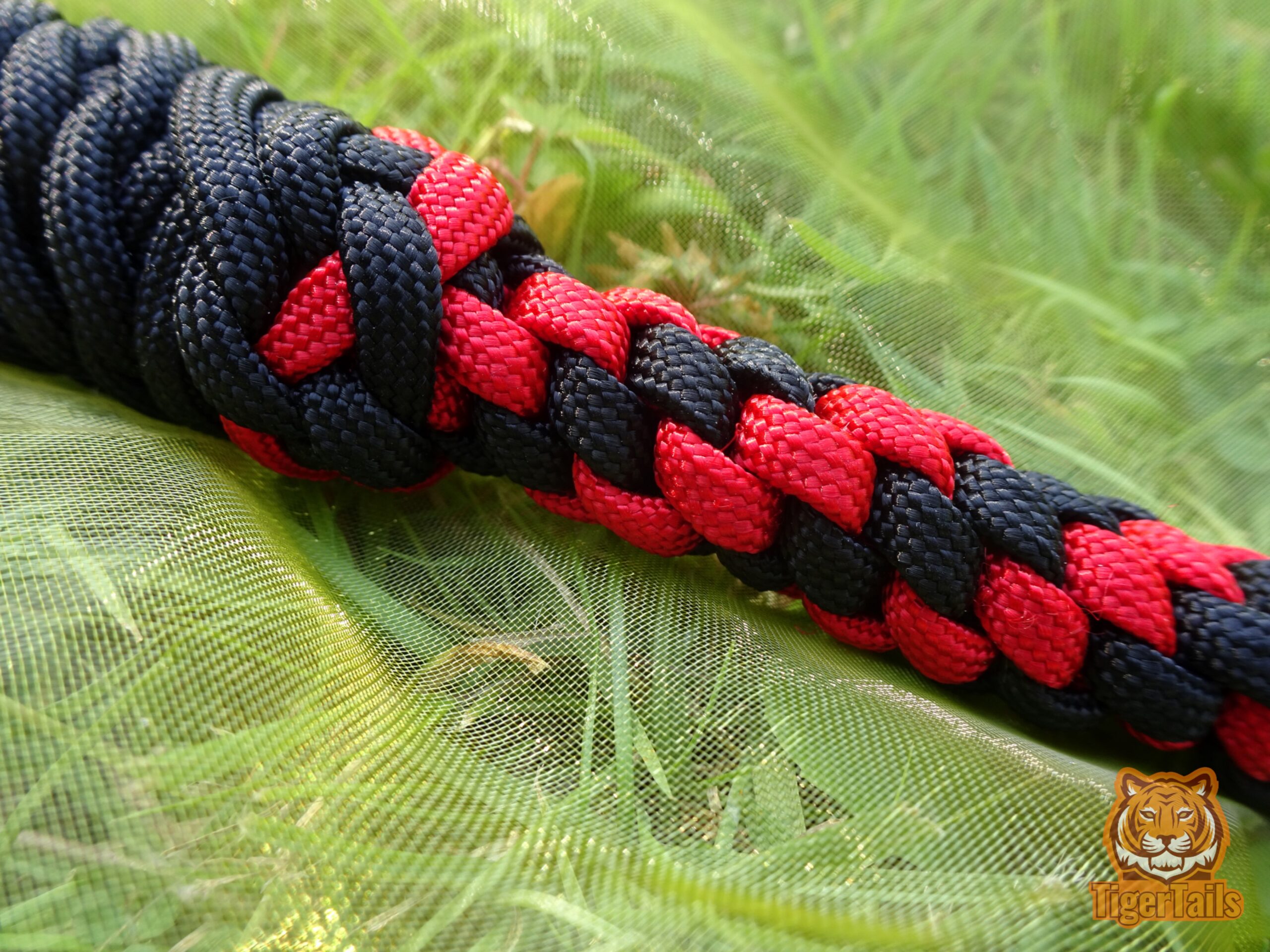 Shorttail black & red spiral - Image 4
